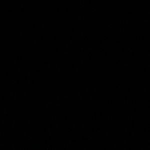 Meet your Posher, Fatima